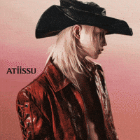 Cowboy Stray Kids GIF
