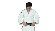 Fight Swipe Up Sticker by Czech judo
