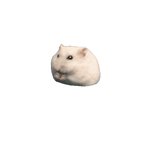 Angry Hamster Sticker by HAMTARINA