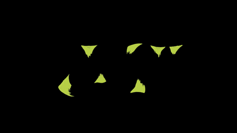 Colors Of Rock N Roll Regular Slinky GIF by ERNIE BALL