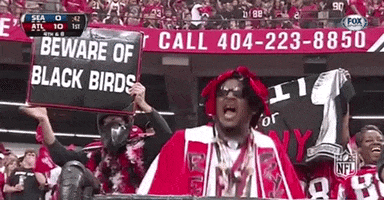 atlanta falcons GIF by NFL