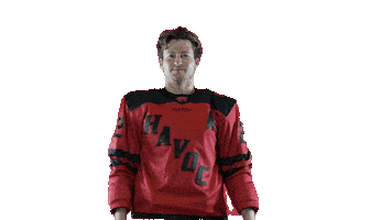 Hockey Players Sticker by Huntsville Havoc