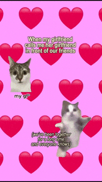 Cat Fun GIF by Gaysi Family