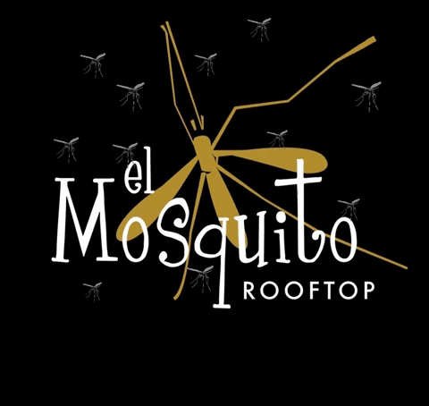 Las Terrenas GIF by El Mosquito