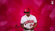 The Bachelor Love GIF by Indianapolis Indians
