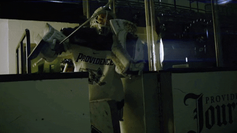 Womens Hockey Pcwhockey GIF by Providence Friars