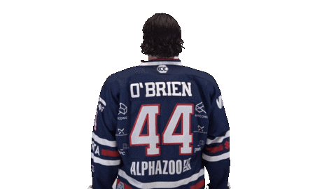 Ice Hockey Sport Sticker by Fehervar AV19