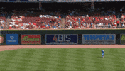 Blue Jays Baseball GIF by Toronto Blue Jays
