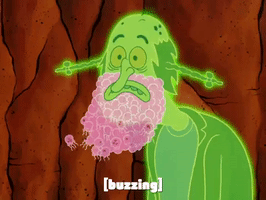 season 7 the curse of bikini bottom GIF by SpongeBob SquarePants