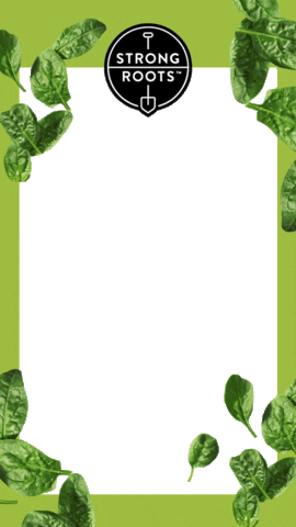 Plant Based Vegan Sticker by Strong Roots