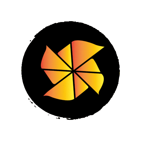 zef_app giphygifmaker kitesurf zef kitefoil Sticker