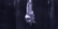 BETEFogNozzle bete nozzle spray nozzle bete fog nozzle GIF