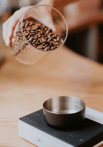 mojoecoffee giphygifmaker coffee grinder GIF