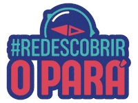 Governo Do Para Sticker by SECOMPA