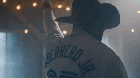 Blue Jays Sport GIF by Toronto Blue Jays