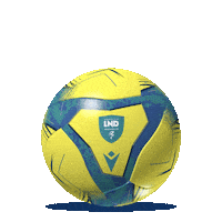 Beach Soccer Sticker by Lega Nazionale Dilettanti