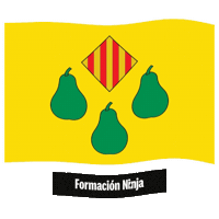 Comunidad Valenciana Bandera Sticker by Formación Ninja
