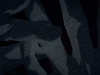 Yuta GIF