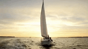 virginia GIF