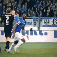 2 Bundesliga GIF