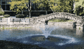 Salusuniversity GIF by Drexel University, Elkins Park Campus
