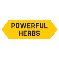 Vegan Herbs Sticker by Yugen kombucha