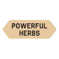 Vegan Herbs Sticker by Yugen kombucha