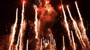 fireworks valencia GIF by For 91 Days