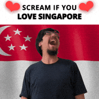 Singapore Flag GIF