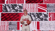 Baseball Point GIF by Stanford Athletics