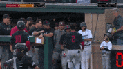 Home Run Knockout GIF by Stanford Athletics
