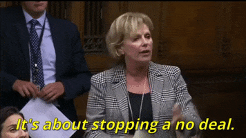 news brexit parliament house of commons brexit debate GIF