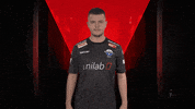 Fifa No GIF by Bundesliga