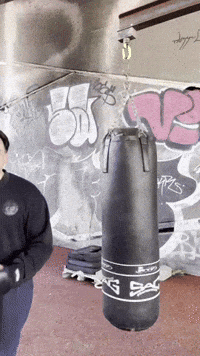 Winning Martial Arts GIF by Casol