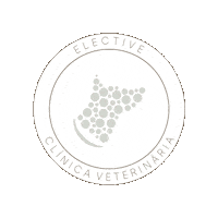 electiveveterinaria elective elective veterinária elective clinica veterinaria Sticker
