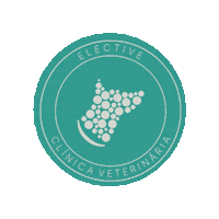 electiveveterinaria veterinaria clinica veterinaria elective elective veterinária Sticker