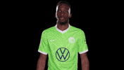 Look Here Reaction GIF by VfL Wolfsburg