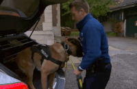 de buurtpolitie GIF by VTM.be