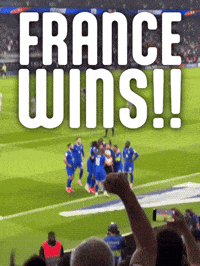 World Cup 2026 French Soccer GIF