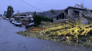 Officials Survey Damage After Bay Area Thunderstorms