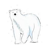 charliesillustrations winter bear polarbear globalwarming Sticker