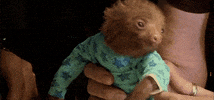 happy sloth GIF