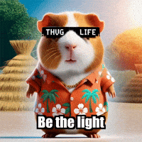 Be The Light Peace GIF by Guinea Gambino