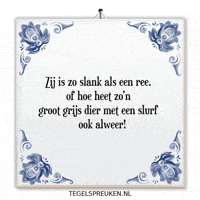 Nl Wijsheid GIF by Tegelspreuken.nl