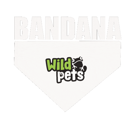 Wildpets giphyupload mascotas bandana bandanas Sticker