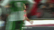 celebrate sl benfica GIF by Sport Lisboa e Benfica