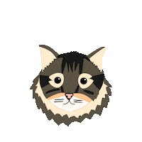 Scottish Fold Cat Sticker