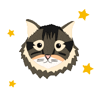 Scottish Fold Cat Sticker