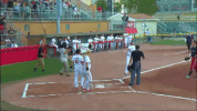 national pro fastpitch softball GIF by USSSA Pride