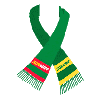 bolivia lapaz Sticker by Subway Colombia